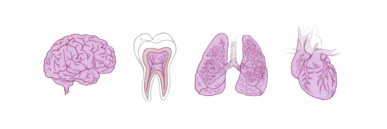 Illustrations for website GERMAN 10